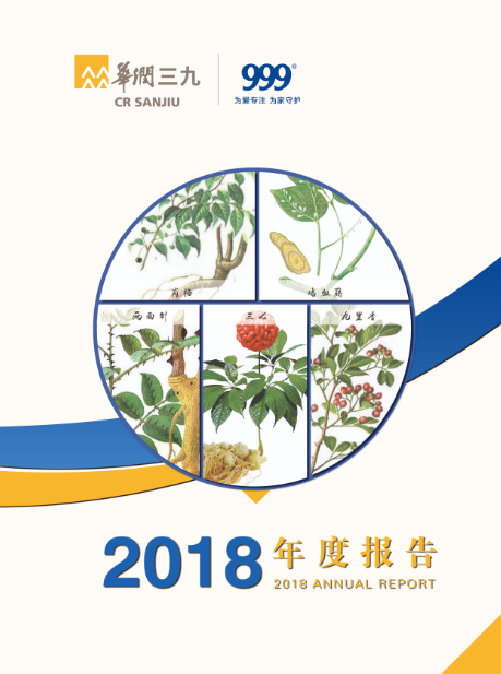 尊龙时凯：2018年年度报告