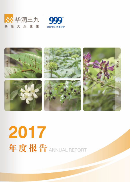 尊龙时凯：2017年年度报告